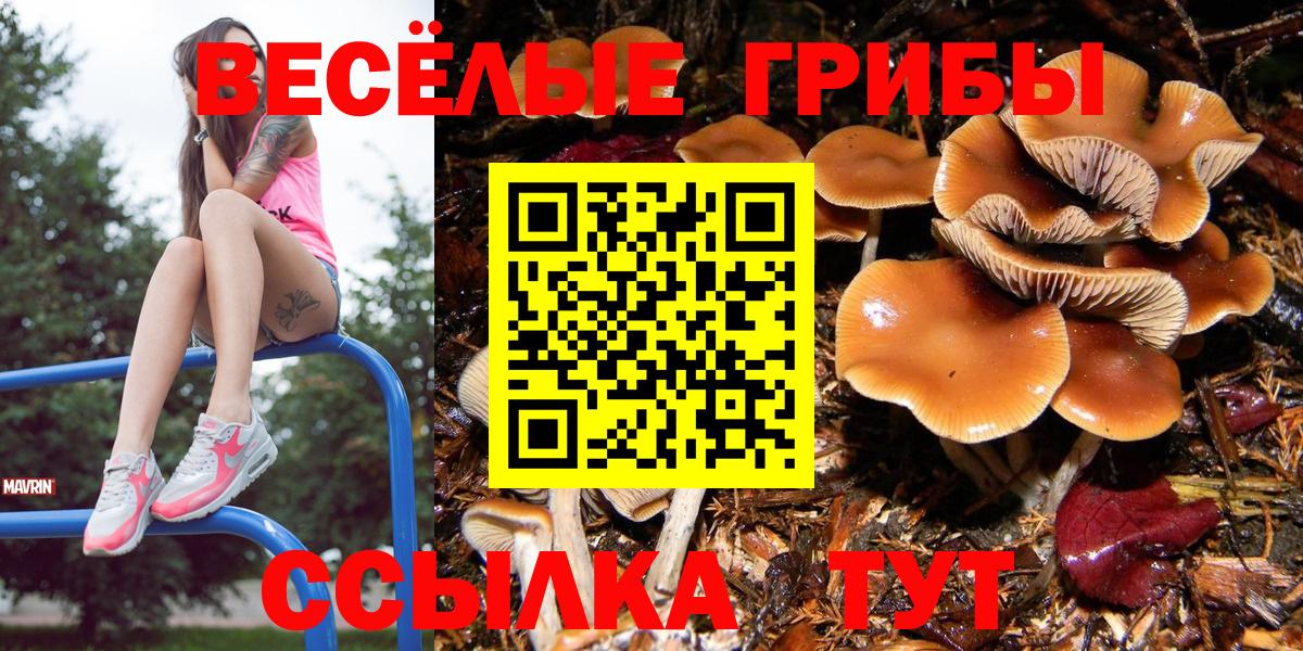 Псилоцибиновые грибы Magic Shrooms Сальск