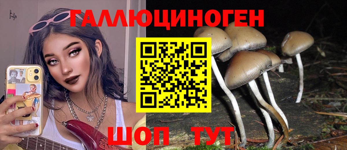 Галлюциногенные грибы ЛСД  Вход с VPN  Сальск 